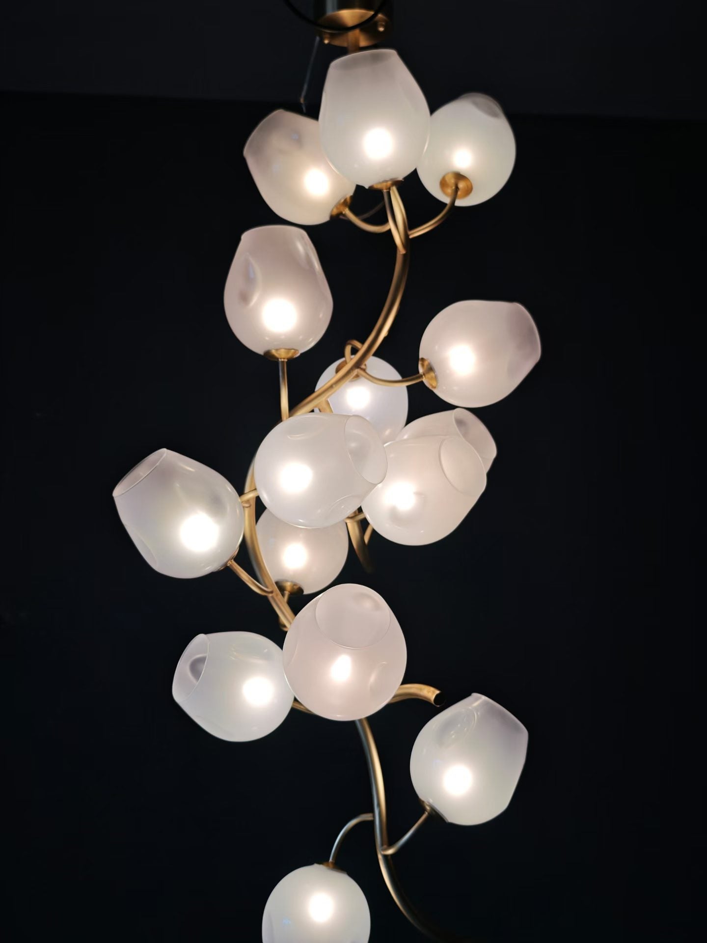 Branch Glass