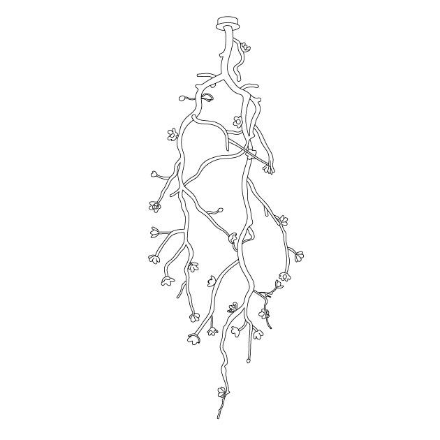 Large Long Branch Flower Chandelier by Bling Lighting Studio
