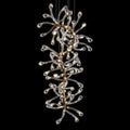 Crystal Tendril Vine Chandelier
