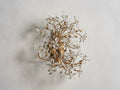 Fiore 2-Light Wall Sconce