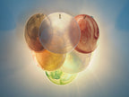 Murano Wall Lamp | 10 Multicolour Disc Glass | Set of 2