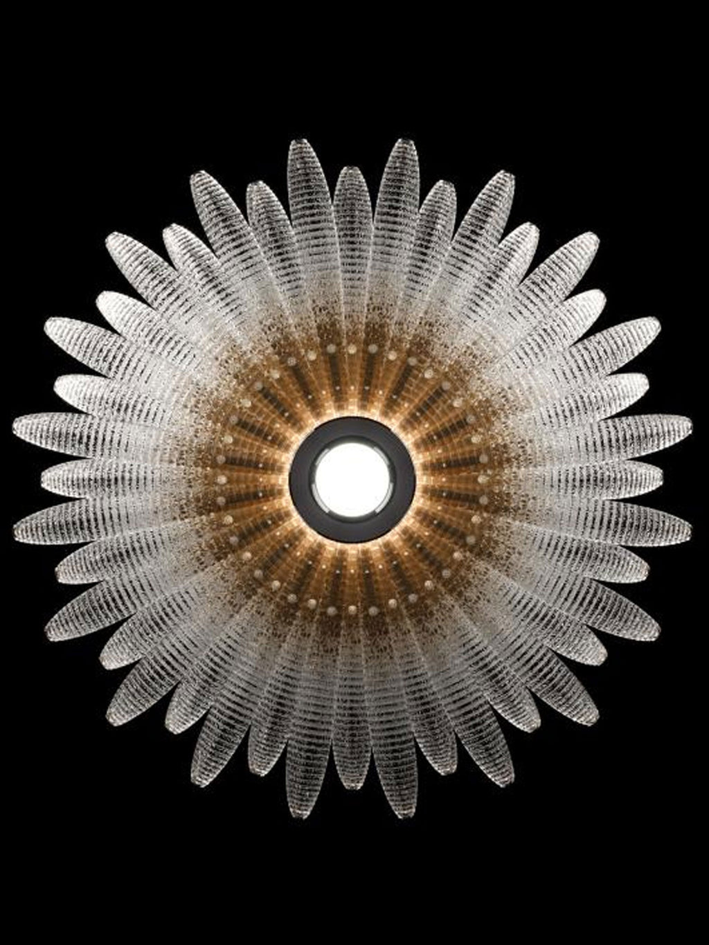Aurelia Glass Petal Chandelier Glass lighting by Bling Lighting Studio