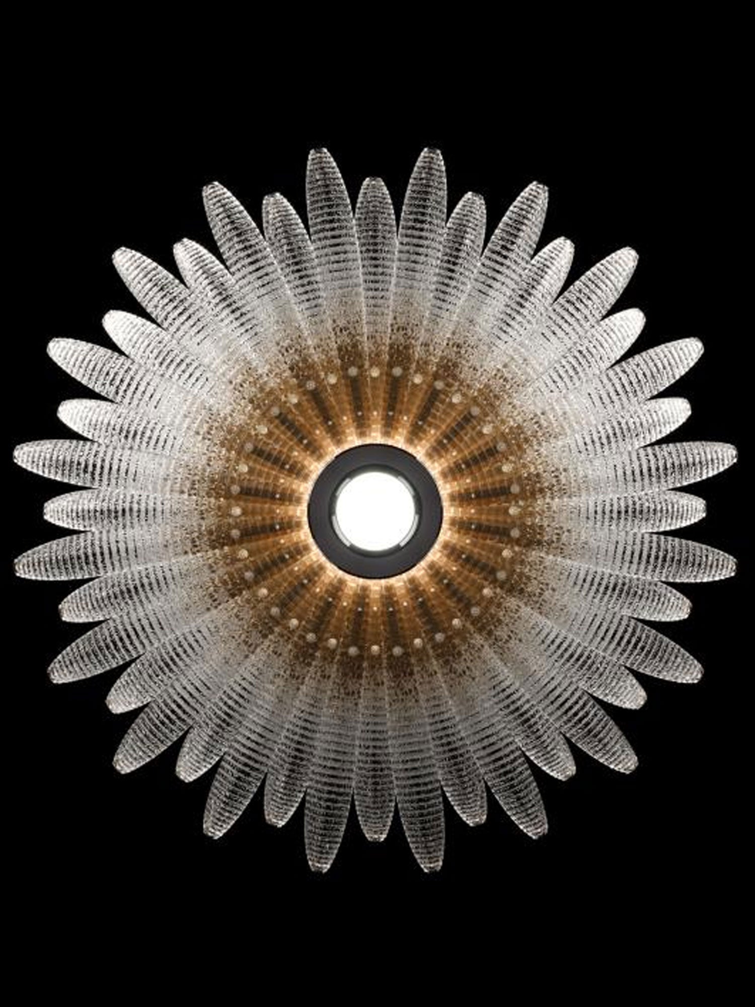 Aurelia Glass Petal Chandelier Glass lighting by Bling Lighting Studio
