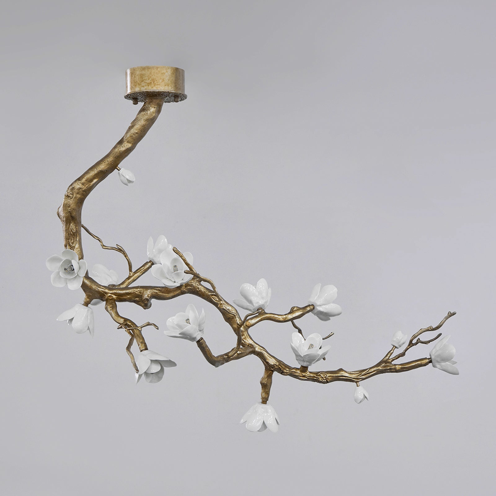 Luxury Brass Flower Branch Chandelier product image