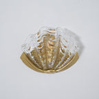 Art Deco Scallop Wall Light Glass lighting by Bling Lighting Studio