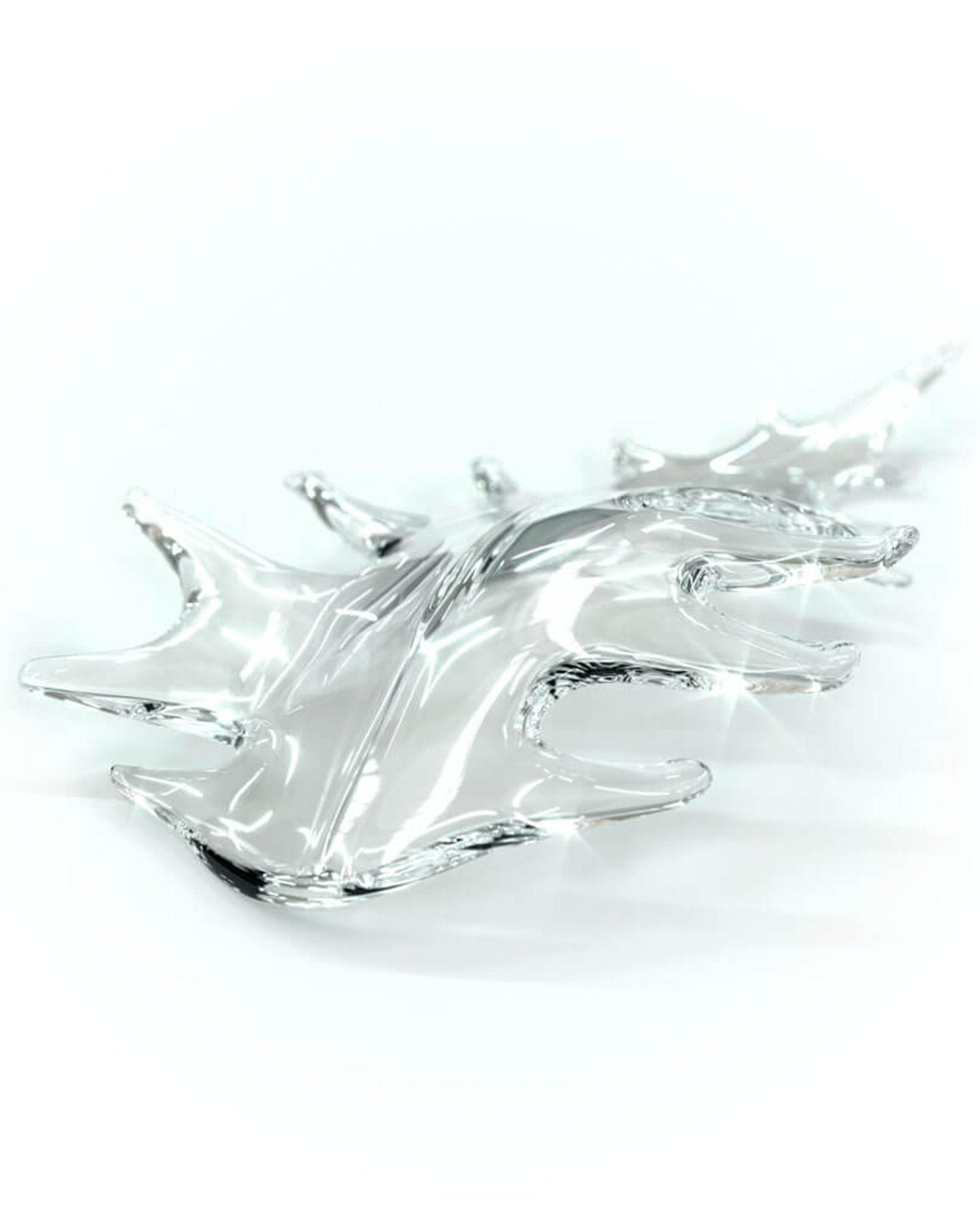 Organic Leaf Chandelier product image