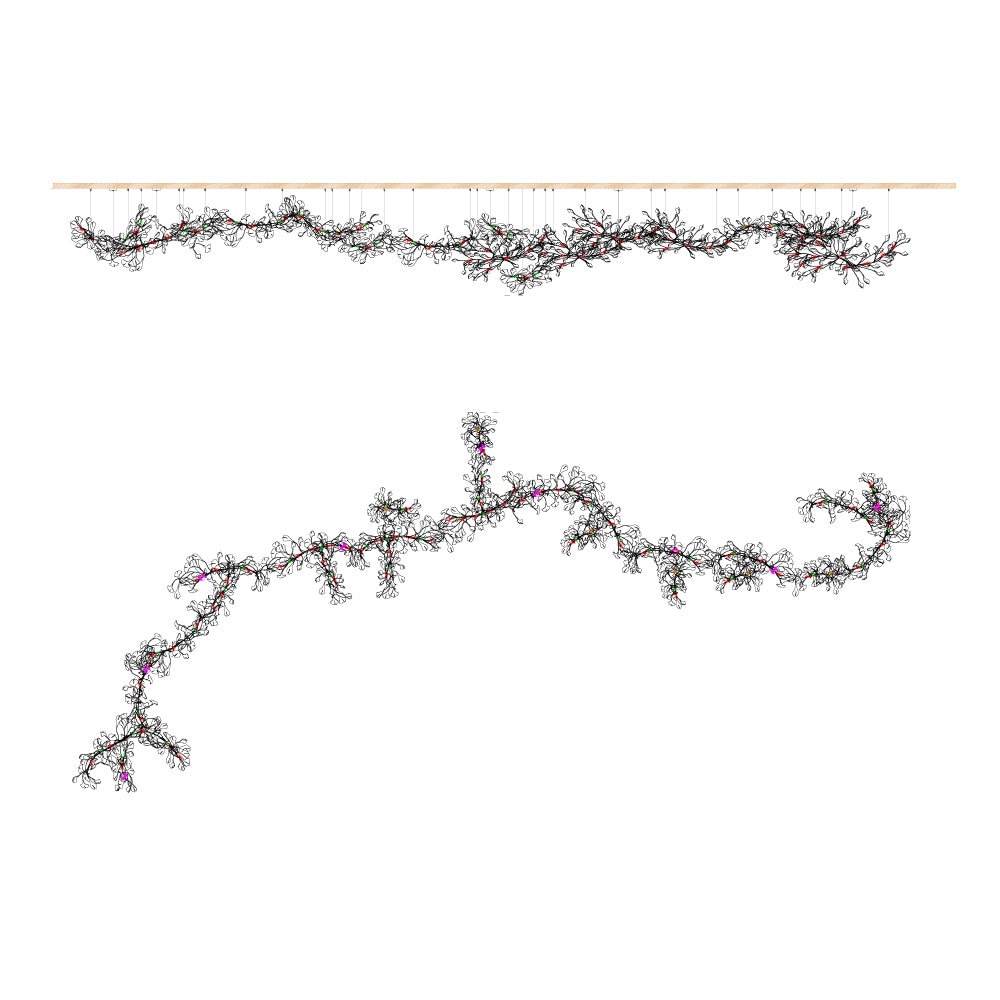 Gingko Chandelier E