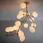 Modern Chandelier with Irregular Glass Lampshades and Brass Branches by Bling Lighting Studio