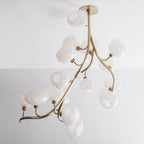 Modern Chandelier with Irregular Glass Lampshades and Brass Branches by Bling Lighting Studio