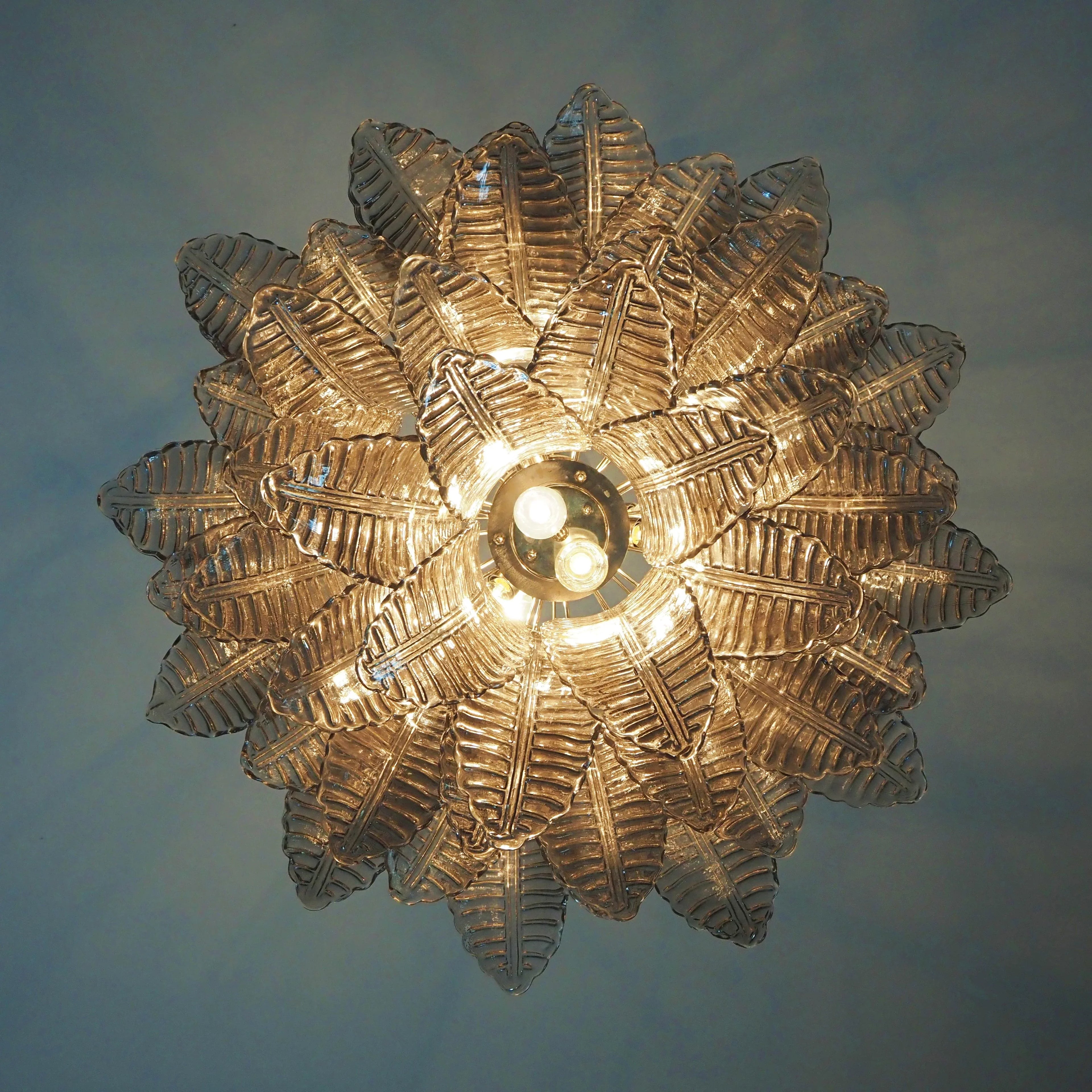 Murano Smoked Ferns Glass Chandelier product image