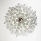 Murano Transparent Glass Petal Chandelier product image