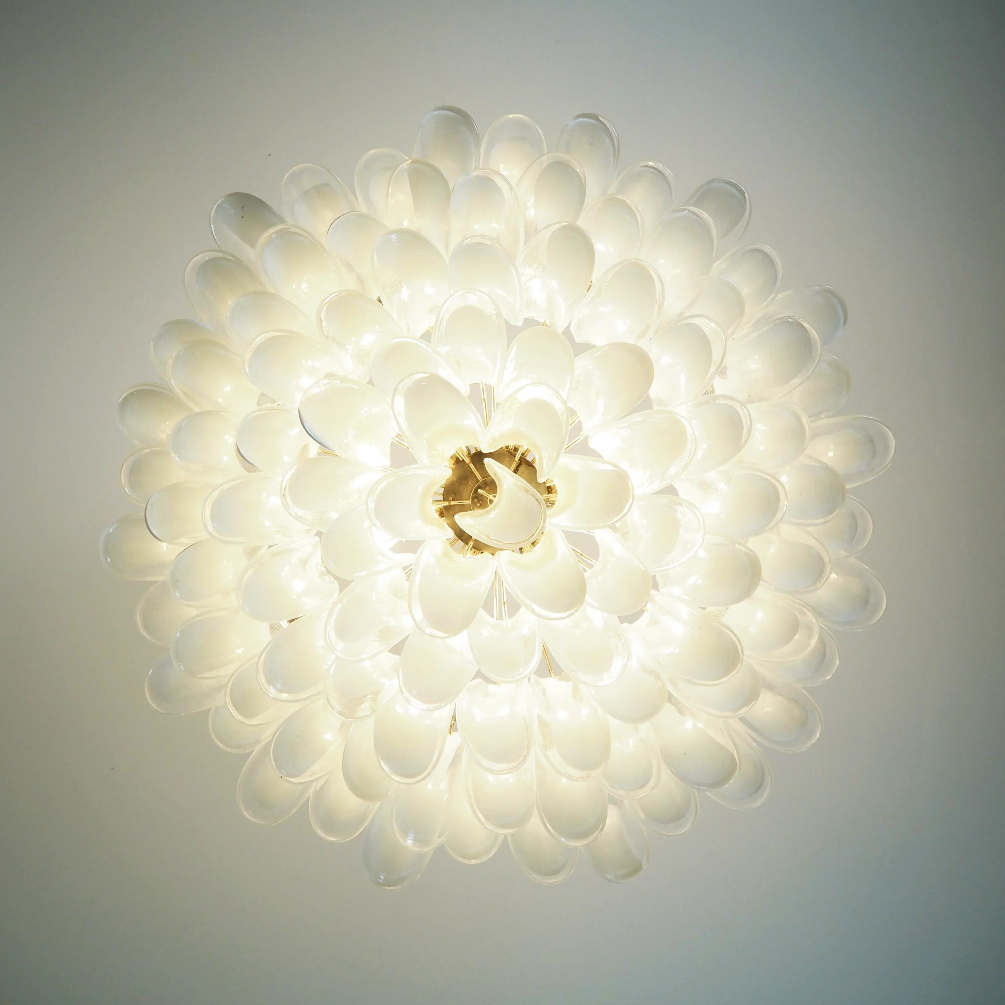 Murano Transparent Glass Petal Chandelier product image