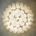 Murano Transparent Petals Glass Chandelier product image