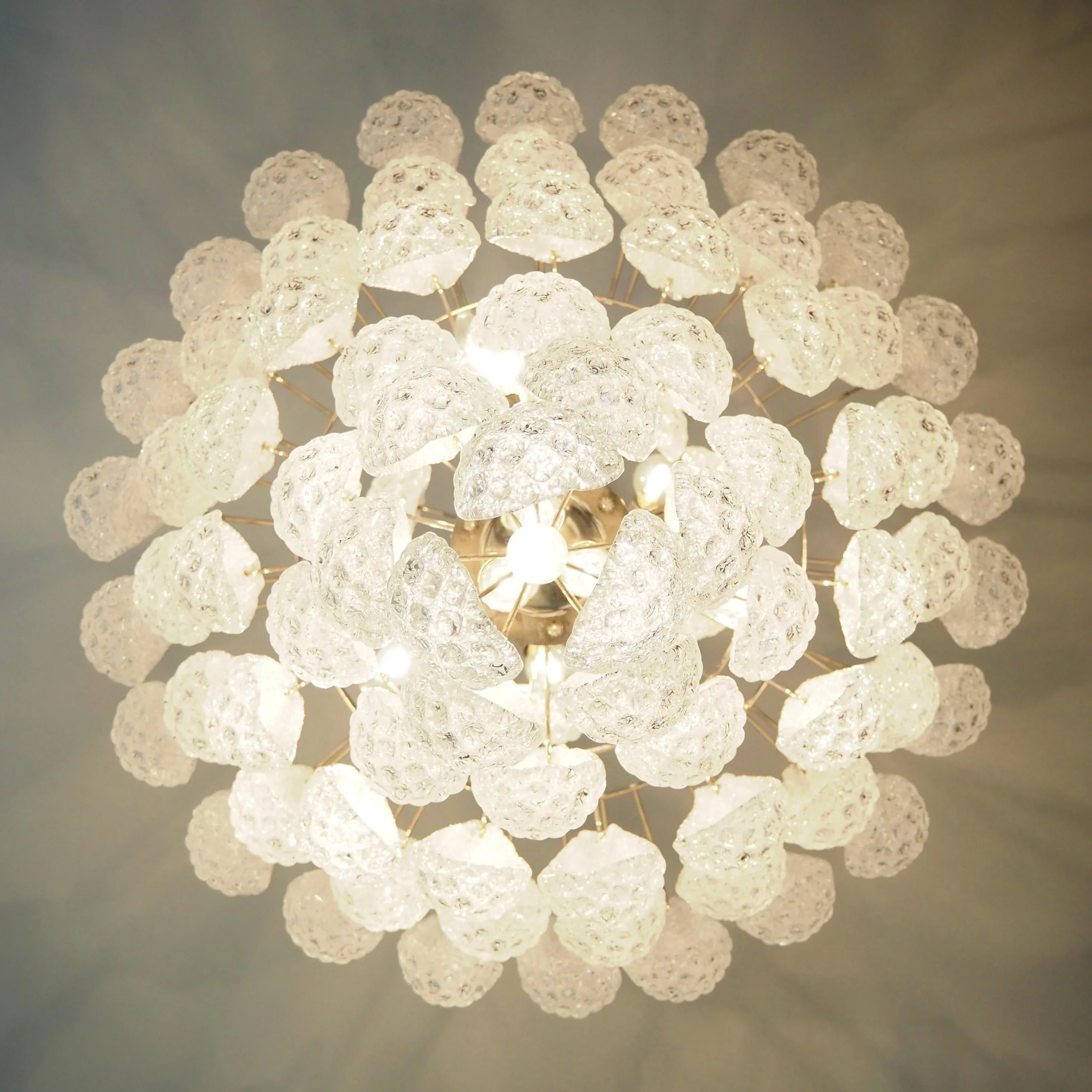 Murano Transparent Petals Glass Chandelier product image