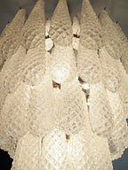 Murano Transparent Petals Glass Chandelier product image