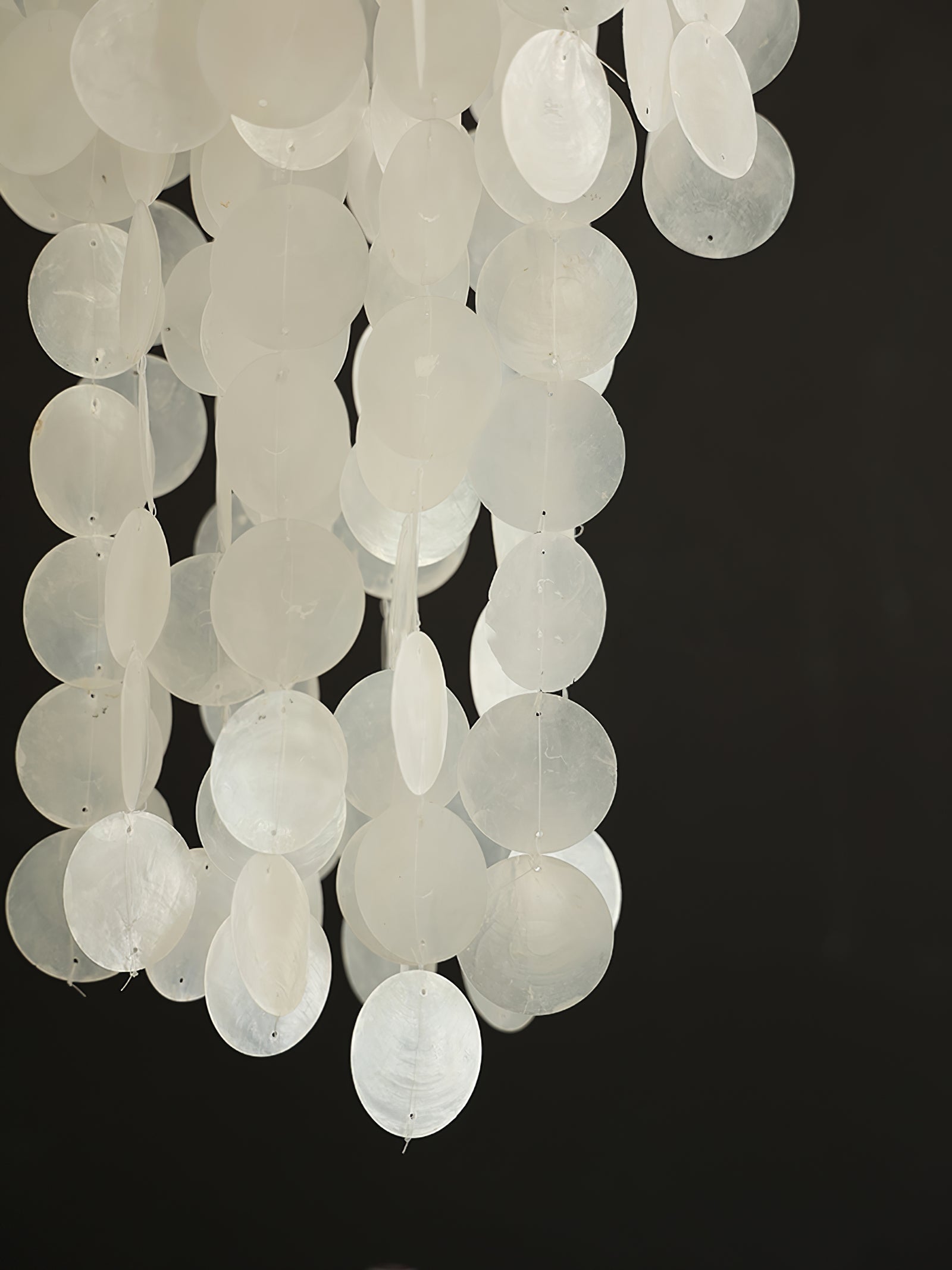Modern Nerida Shell Chandelier product image