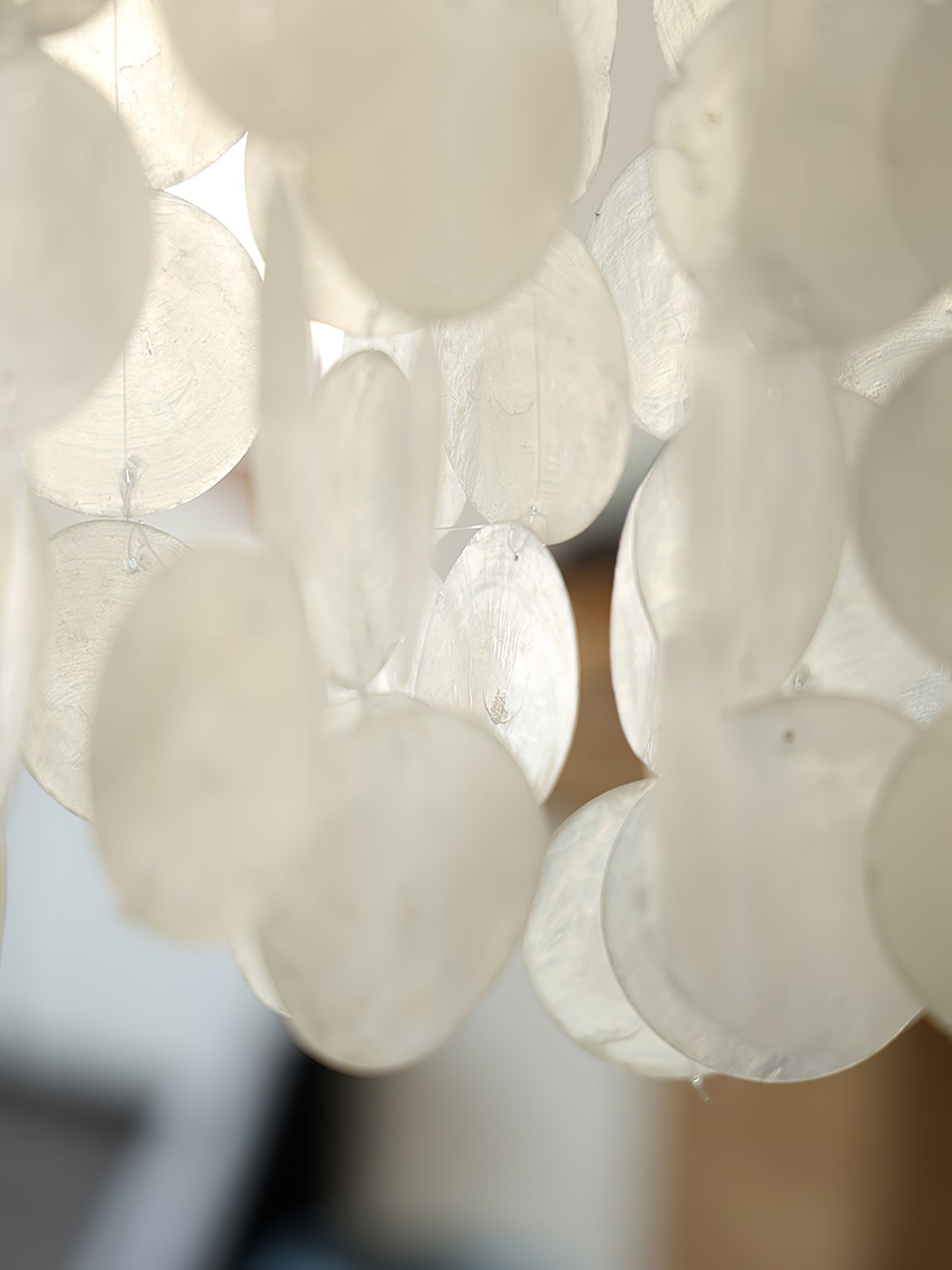 Modern Nerida Shell Chandelier product image