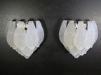 Murano Wall Lamp | 10 Clear Petal Glass | Set of 2