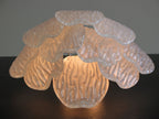 Murano Wall Lamp | 10 Clear Petal Glass | Set of 2