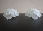 Murano Wall Lamp | 10 Clear Petal Glass | Set of 2