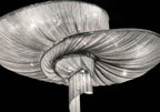 Spiral Elegance Chain Chandelier