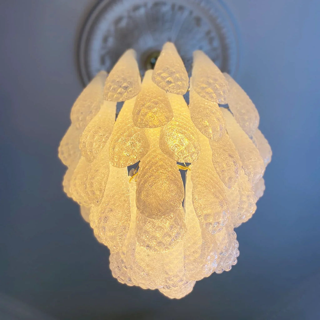 Vintage Murano Transparent Glass Petals Chandelier product image