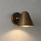 Ballstonn Brass Wall Light