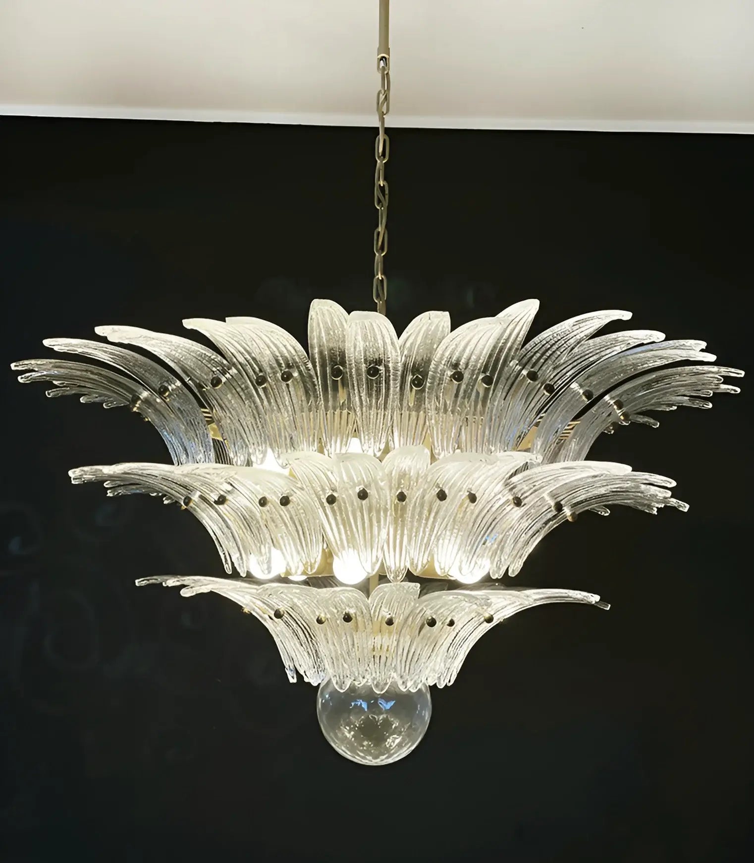Beautifully Murano Palmette Transparent Chandelier product image
