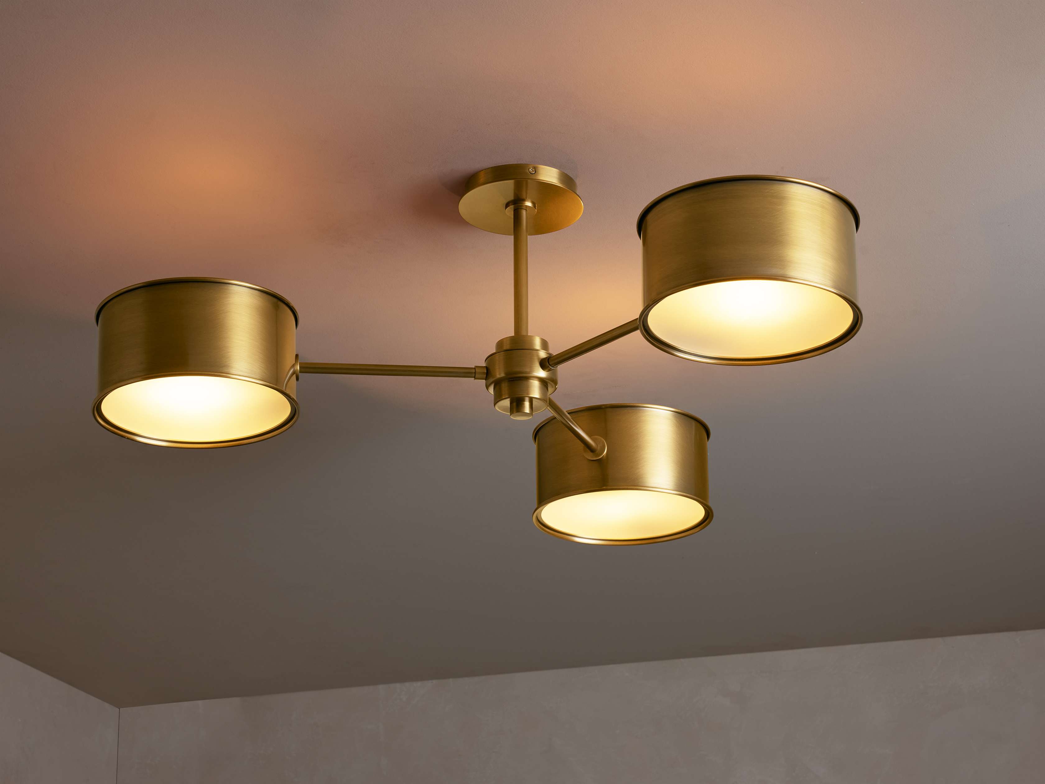 Daphne Metal Flush Mount lighting fixture product image