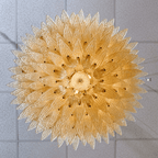 Exquisite Murano Palmette Chandelier product image